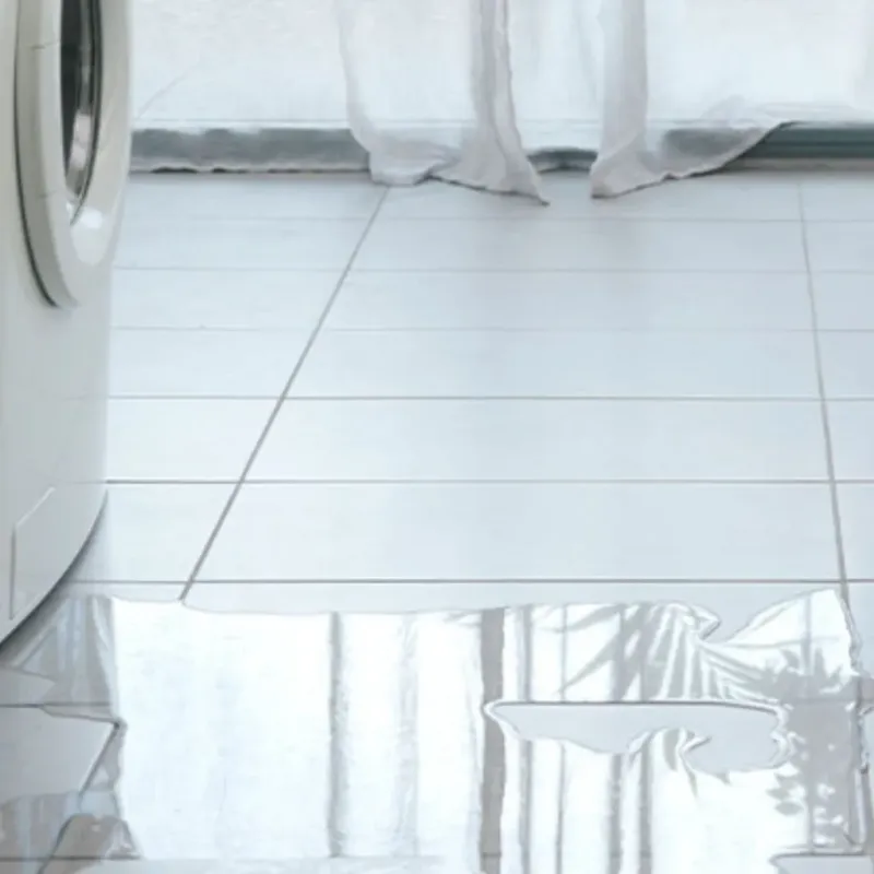 Appliance Leak Cleanup in Cook County, IL
