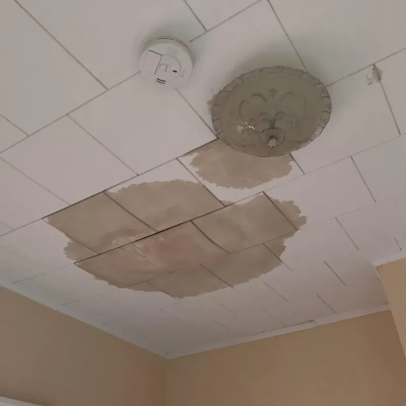 Ceiling Water Damage Repair in Cook County, IL