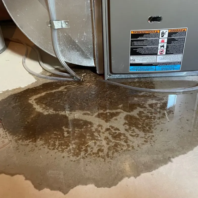 Pipe Burst and Leak Restoration in Cook County, IL