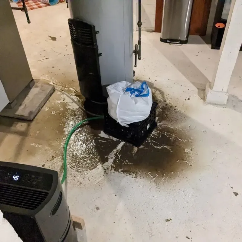 Sewage Backup Cleanup Service in Cook County, IL